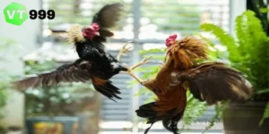 đá gà trực tiếp